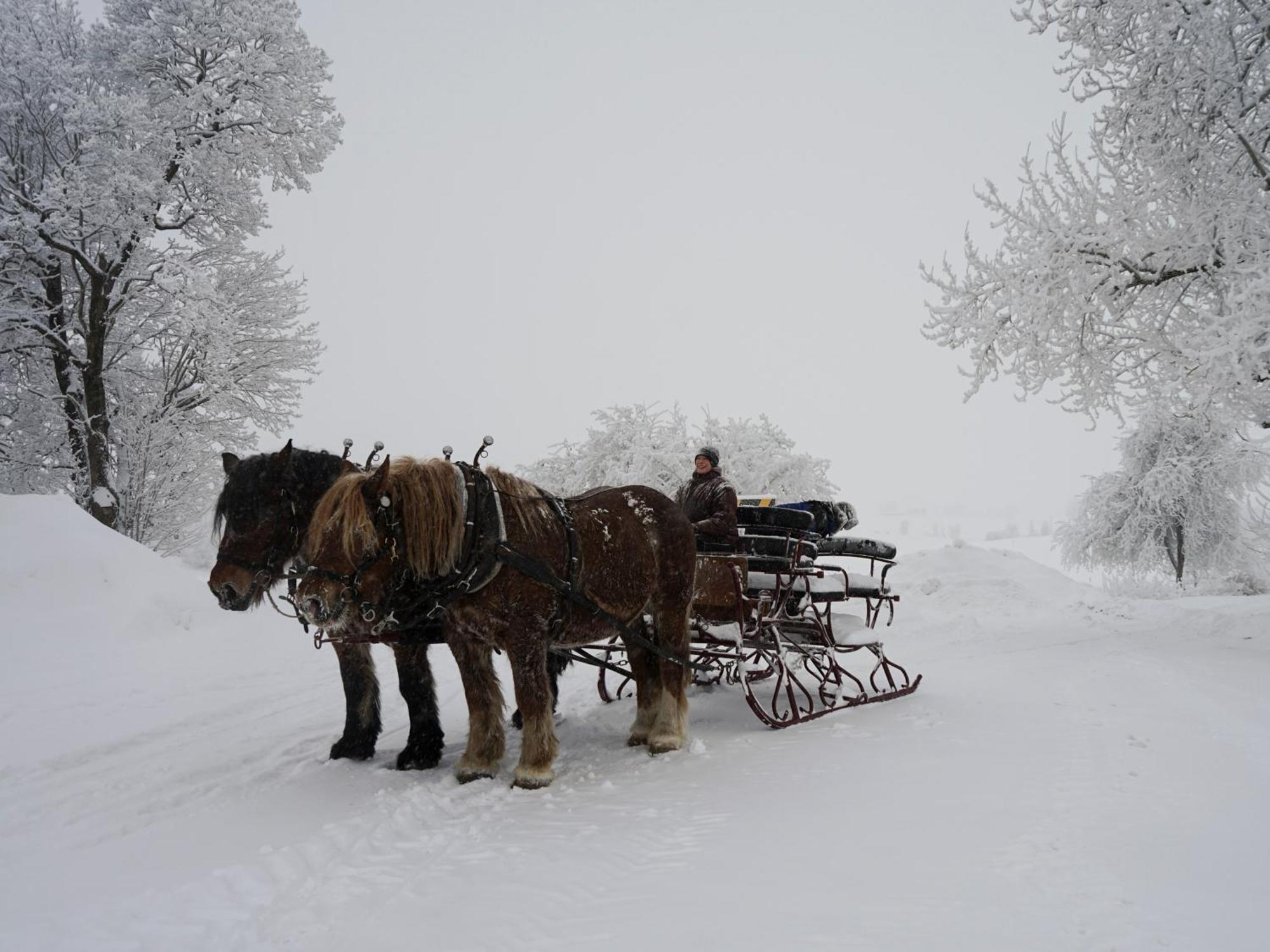 Fokhol Gard Gjestehus Stange Esterno foto